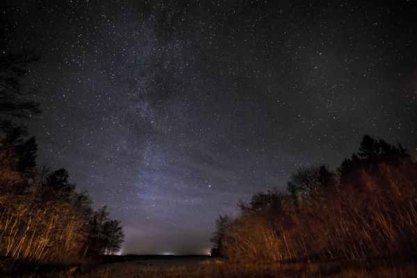 trees,water,nature,bay,night,galaxy