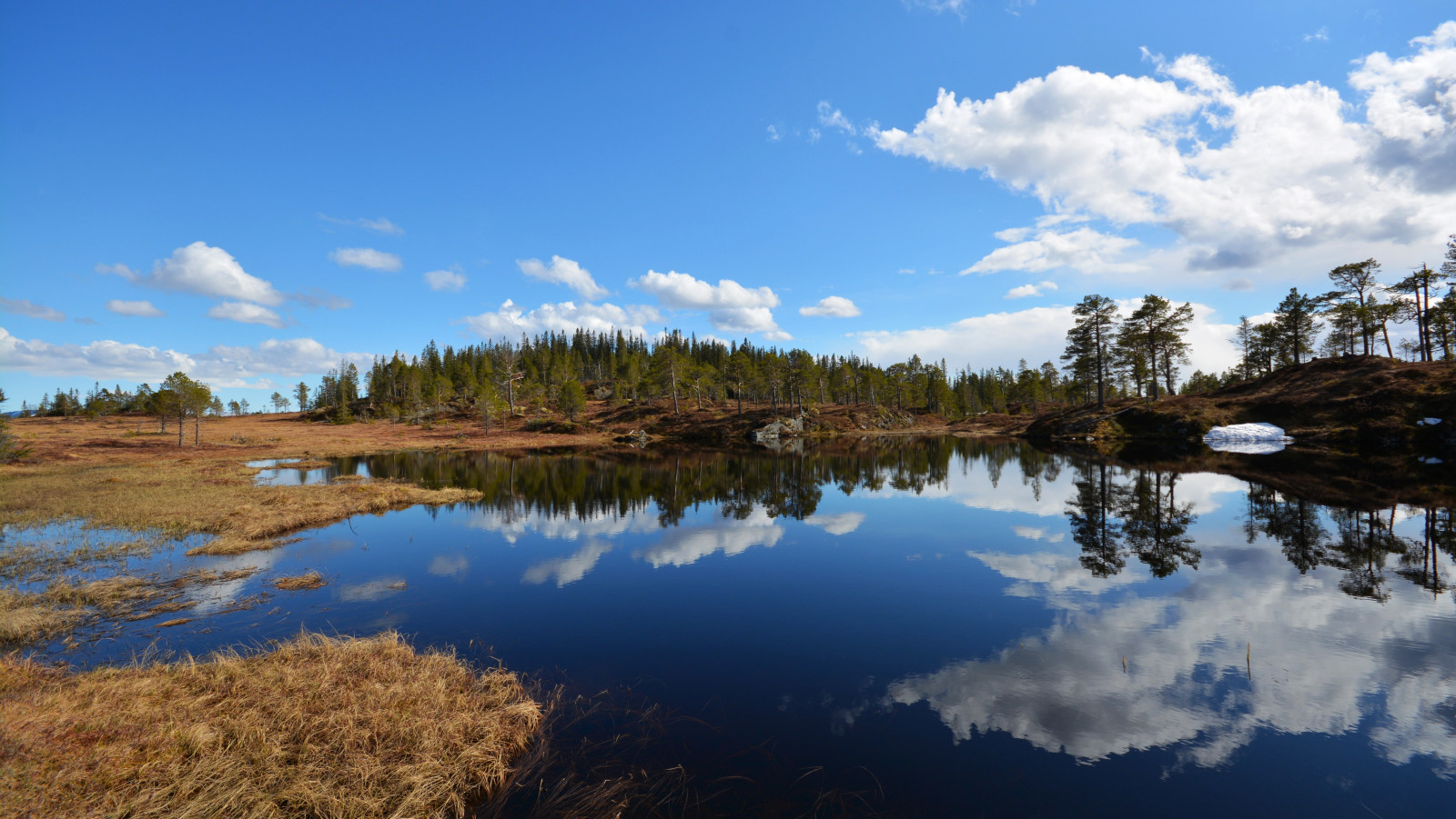 krajina, jezero, voda, Příroda, odraz, tráva, nebe, uklidnit, Norsko, řeka, divočina, rybník, banka, bažina, mount scenérie, přírodní rezervace, Trondheim, mokřadní, mrak, strom, hora, natur, vodní tok, louka, nádrž, norge, pleso, bažina, martinystenes, jezero, meteorologický jev, klesl, bažina, vstupní, lužní, tr ndelag, midtnorge, vodní zdroje, Malvik, Jervfjellet, Trulsen, Kvitm ss rabben, Litlbergfjellet