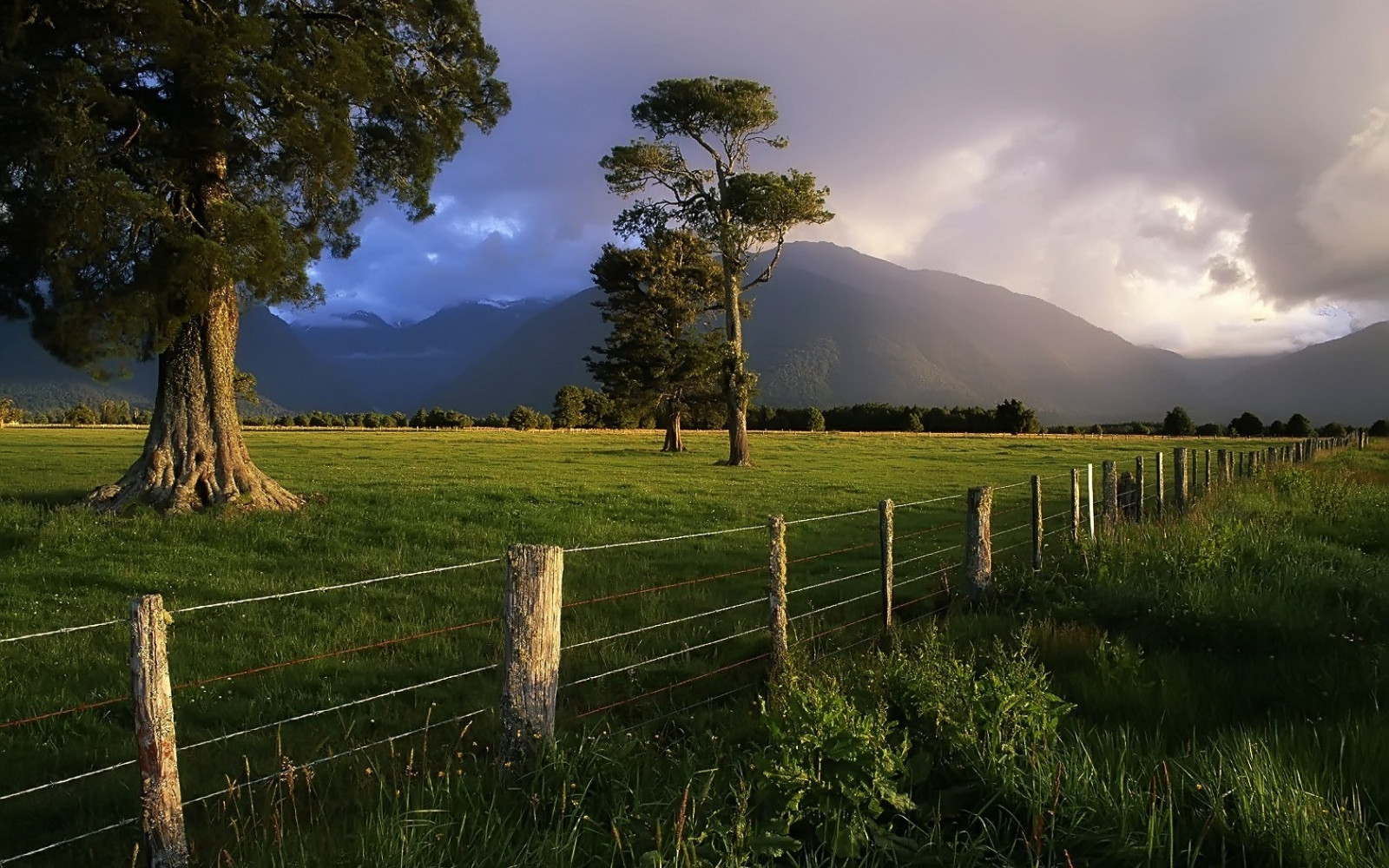 lumière du soleil, des arbres, paysage, forêt, Montagnes, colline, la nature, réflexion, herbe, ciel, champ, orage, vert, soir, Matin, brouillard, horizon, clôture, région sauvage, Nouvelle-Zélande, Zone humide, nuage, arbre, fleur, Météo, plante, agriculture, Prairie, plantation, plaine, zone rurale, habitat, environnement naturel, Phénomène atmosphérique, Plante boisée, Écosystème