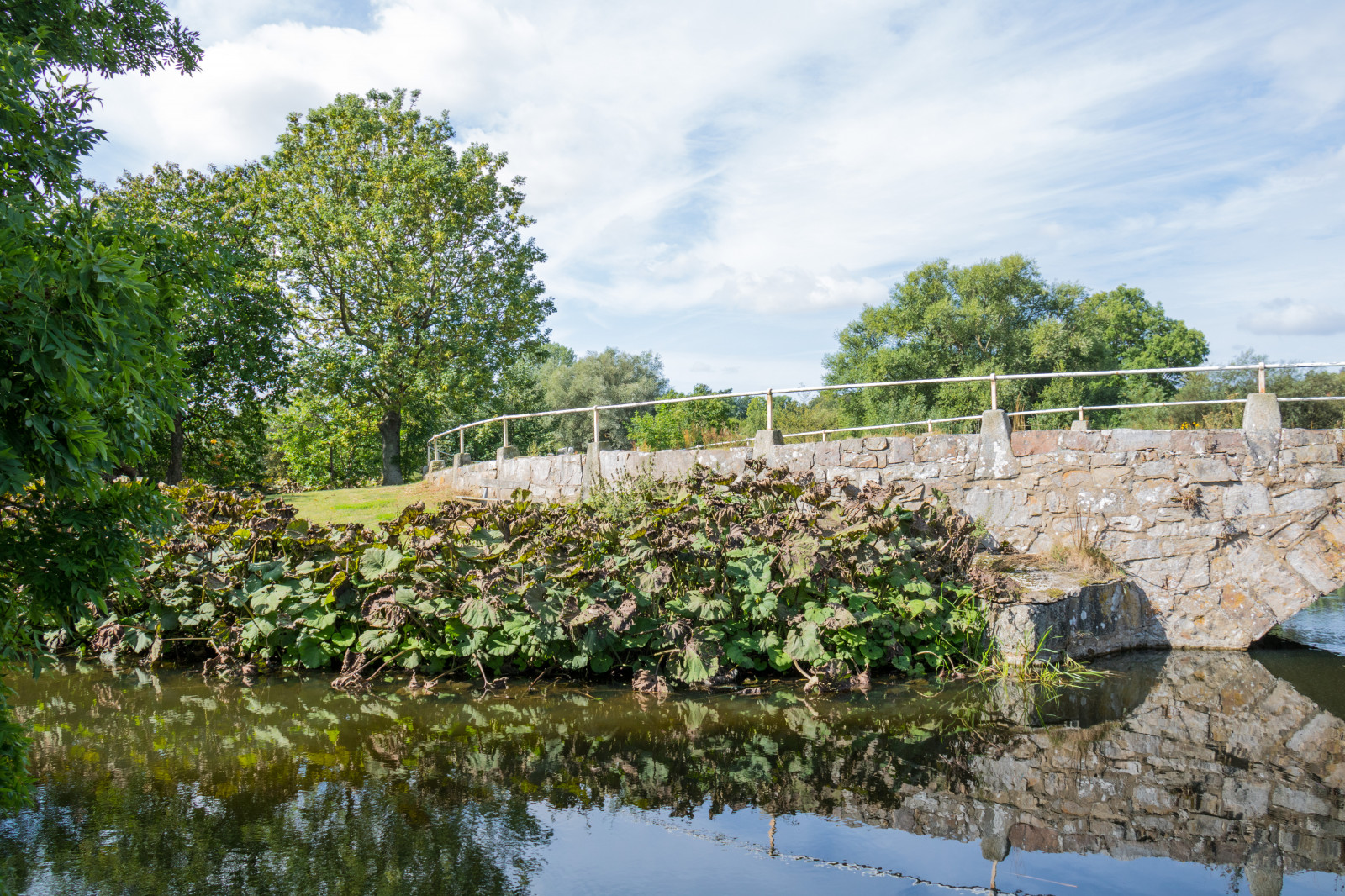 zahrada, voda, odraz, most, řeka, rybník, proud, Bro, strom, květ, odrazy, sterlen, exif modelu canoneos760d, geocountry, Kamera aby kánon, geocity, Model fotoaparátu canoneos760d, geostate, geolocation, EXIF čočka efs18200mmf3556is, exif aby kánon, EXIF isospeed 100, EXIF otvor 71, exif focallength 18mm, Simrishamn, reflektioner, tobisvik, venkov, vodní