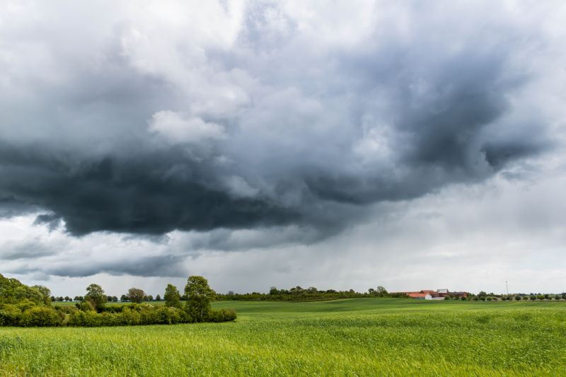 krajina,tráva,nebe,pole,bouřka,vítr