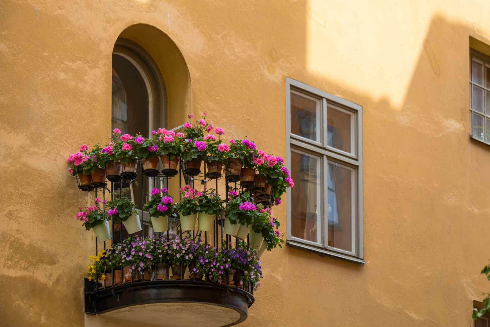 okno, architektura, budova, stěna, Dům, balkón, Stockholm, Vzhled interiéru, barva, květ, rostlina, alej, velký, Blomma, hus, exif modelu canoneos760d, geocountry, Kamera aby kánon, geocity, Model fotoaparátu canoneos760d, geostate, geolocation, EXIF čočka efs18200mmf3556is, EXIF otvor 56, exif aby kánon, EXIF isospeed 100, exif focallength 60mm, attackfoto, gamlastan, staré Město, fasáda, floristika, nádvoří