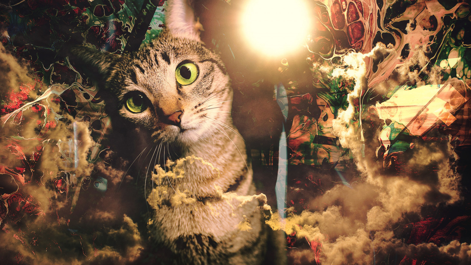 Wallpaper : cat, abstract, sky, clouds, swirl, paint splatter 1920x1080 ...