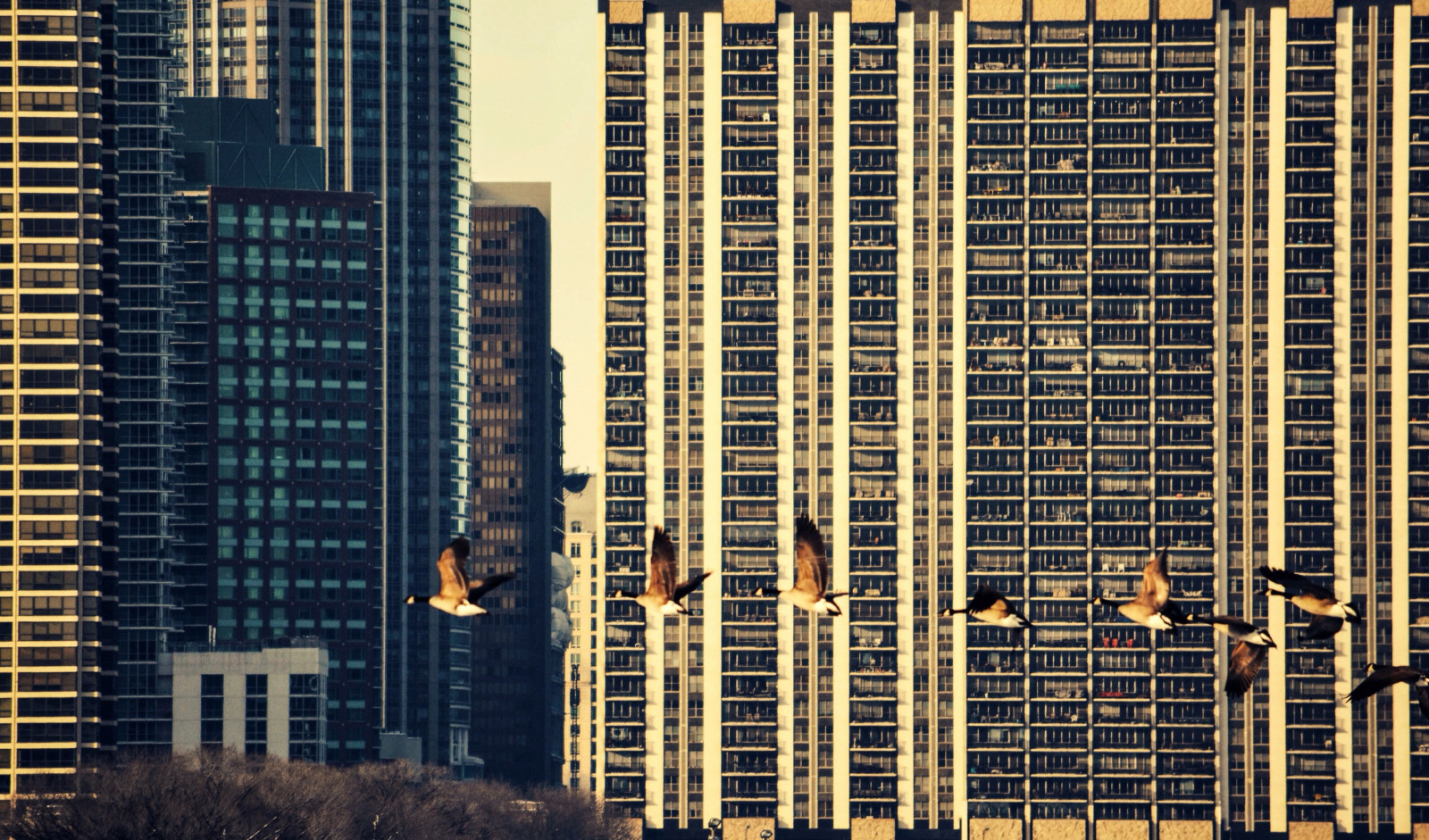 okno, město, panoráma města, architektura, městský, budova, nebe, sníh, zima, panoráma, mrakodrap, led, Nikon, Chicago, metropole, centrum, budovy, zamrzlý, kondominium, mezník, nikond3100, během dne, fasáda, urban area, Metropolitní oblast, obytný prostor, panelový dům, Michiganské jezero, evacares, evaobrien, sheddaquarium, Chicagoland, Chicagoarchitecture