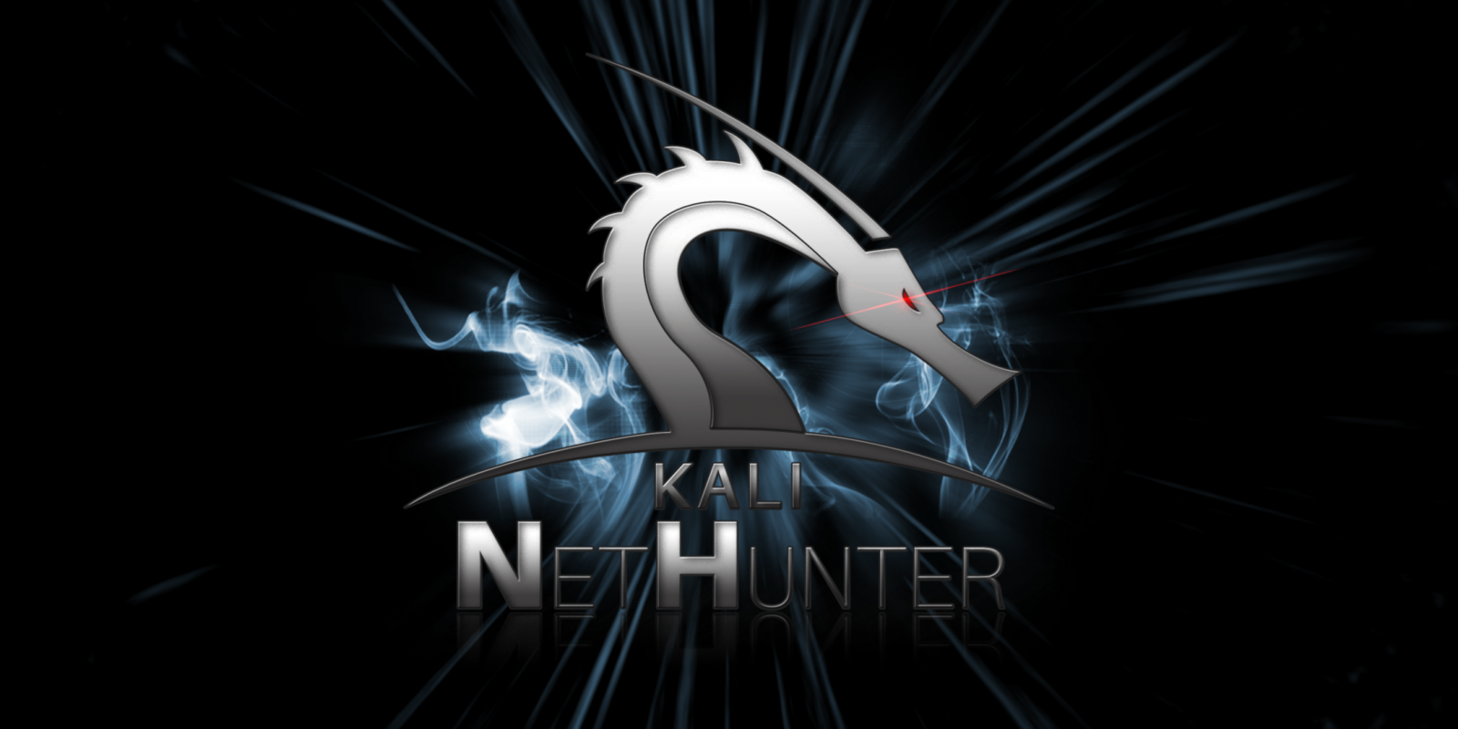 Kali Linux, Kali Linux NetHunter, nethunters