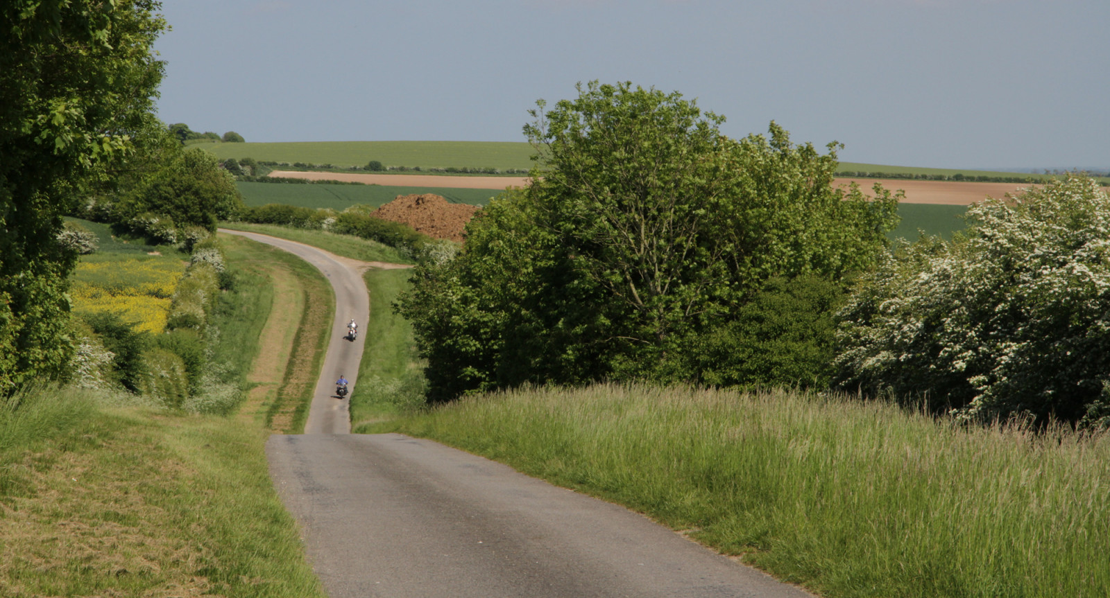 weg, pad, veld-, infrastructuur, rijbaan, boom, weide, landelijk gebied, prairie, grasland, gras, weide, zandweg, land lot, weg oppervlak, hemel, farm, vlakte, Doorgang, asfalt, snelweg, landschap, fabriek, spoor, landbouw, gras familie, dorp, schouder