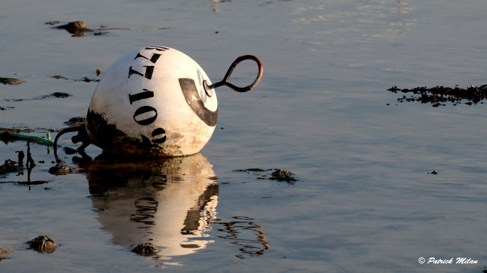 loď, loď, voda, odraz, nebe, luk, rybolov, plachtění, saariysqualitypictures, oceán, přístav, přístav, nábřeží, quai, bóje, bateau, plachetnice, Plouguin, Ploudalmezeau, Portsall, Kersaint, Landunvez, Landeda, Lannilis, treglonou, saintpabu, Pabu, abers, Brittany, bretagne, BZH, saintrenan, Renan, Lanildut, aberwrach, Lampaul, Plouarzel, Breles, Iroise, vodní pták, remorkér, trup, optimistický, Finistere, peche, Yearend17