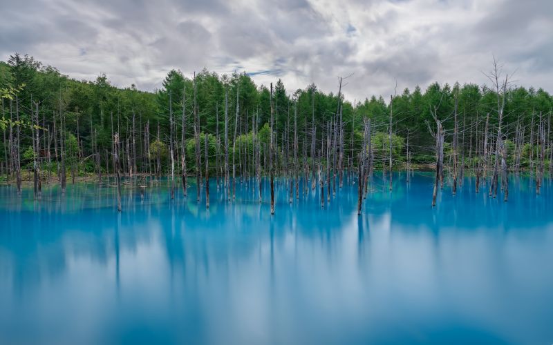 5120x3200 px, foresta, lago, paesaggio, natura, riflessione 5120x3200 px, foresta, lago, paesaggio, natura, riflessione