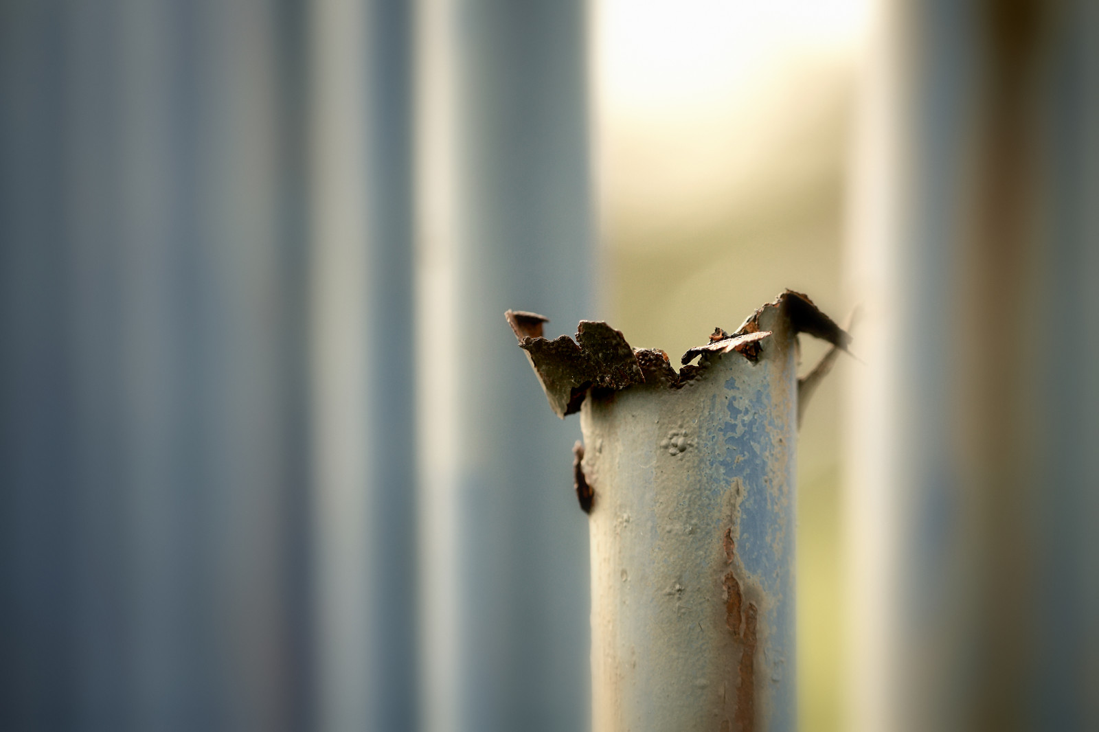 detailní, makro, větev, modrý, ocel, Kánon, rez, kov, plot, zlomený, Konec, pátek, rezavý, F28, hloubka pole, pták, dof, detail, HFF, křídlo, fauna, 100mm, fencedfriday, prohlížení pták, zblízka, makro fotografie, canoneos450d, oplocení, 52in2017, happyfencedfriday, ohrazený, HEK, hekwerk, omheining, vrijdag, scherptediepte, dgawc, canonnl, Roest, gebroken, roestig, 52end, Einde, Staal, METAAL, wastedaway, weggeteerd, mimo provoz