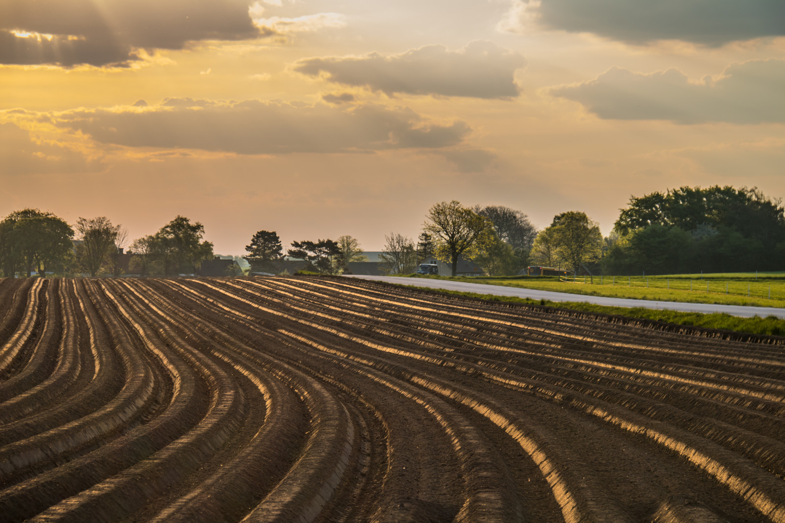 slunečnímu záření, krajina, západ slunce, kopec, Příroda, nebe, pole, silnice, svítání, večer, ráno, horizont, Dálnice, soumrak, doprava, infrastruktura, mrak, strom, venkov, landsbygd, v g, s dersl tt, landskap, morgon, gisl v, dráha, zemědělství, prostý, prérie, půda, venkov, atmosférický jev