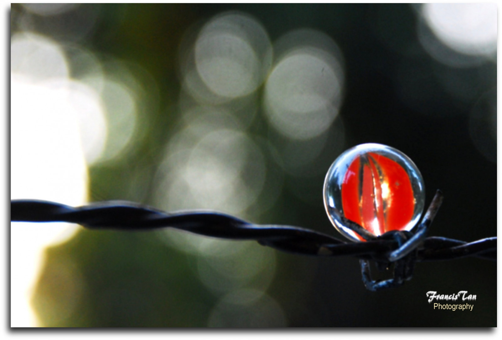 Japonsko, makro, sklenka, plot, bokeh, mramor, Tokio, HBW, theunforgettablepictures, Snímek obrazovky, počítač tapeta, Fongetz, Francistán, Takanawa, Barbewire