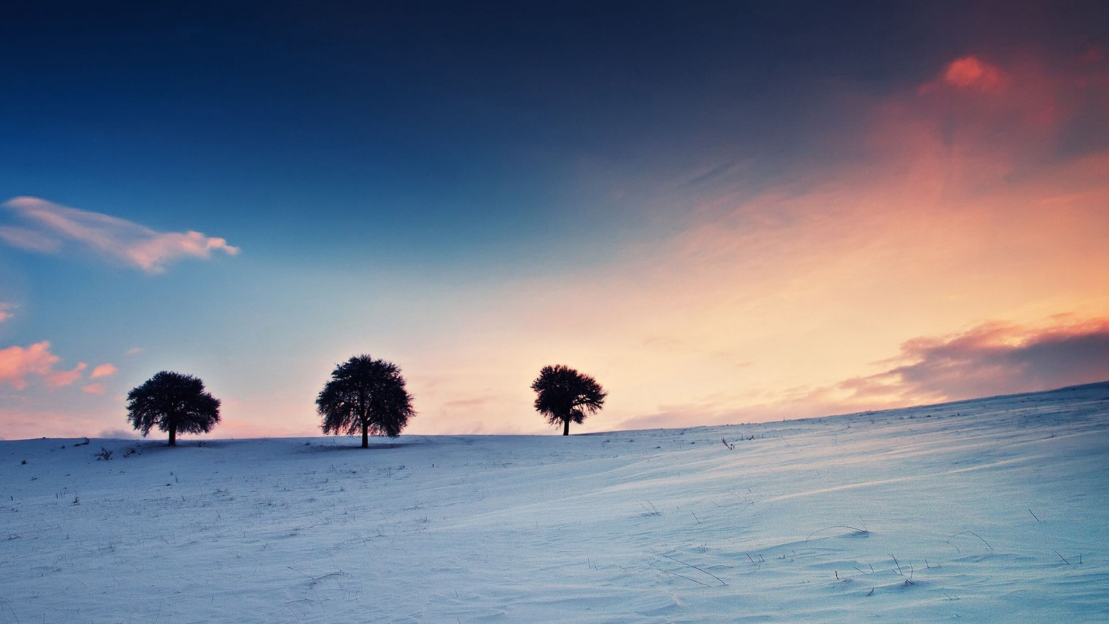 Wallpaper : sunlight, trees, landscape, sunset, sea, sky, snow, winter