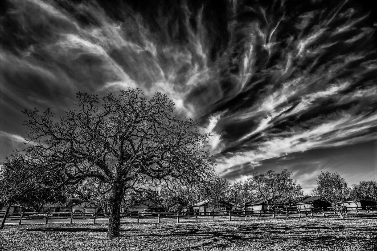 Fond d'écran Arbres morts, la nature, Monochrome 2048x1365 wangdou
