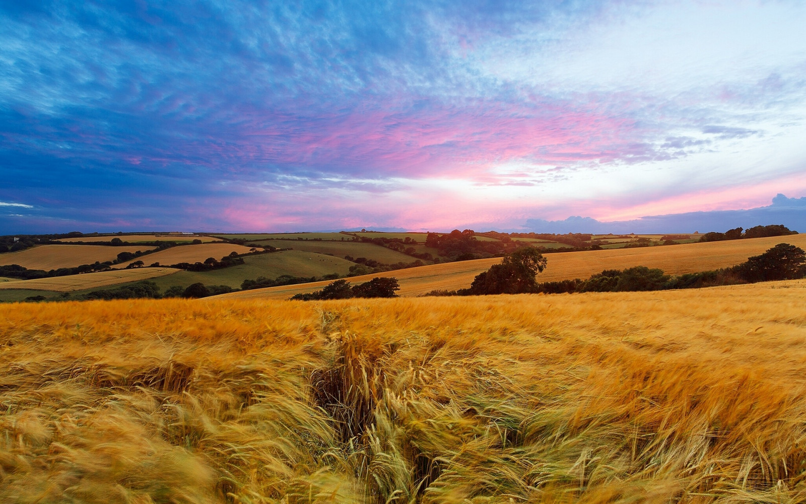 1920x1200 px, England, field, landscape, sunset