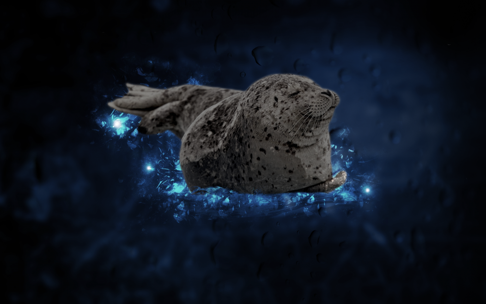 těsnění, modrý, voda, zvěř