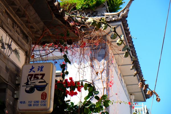 dali,Chinese architecture