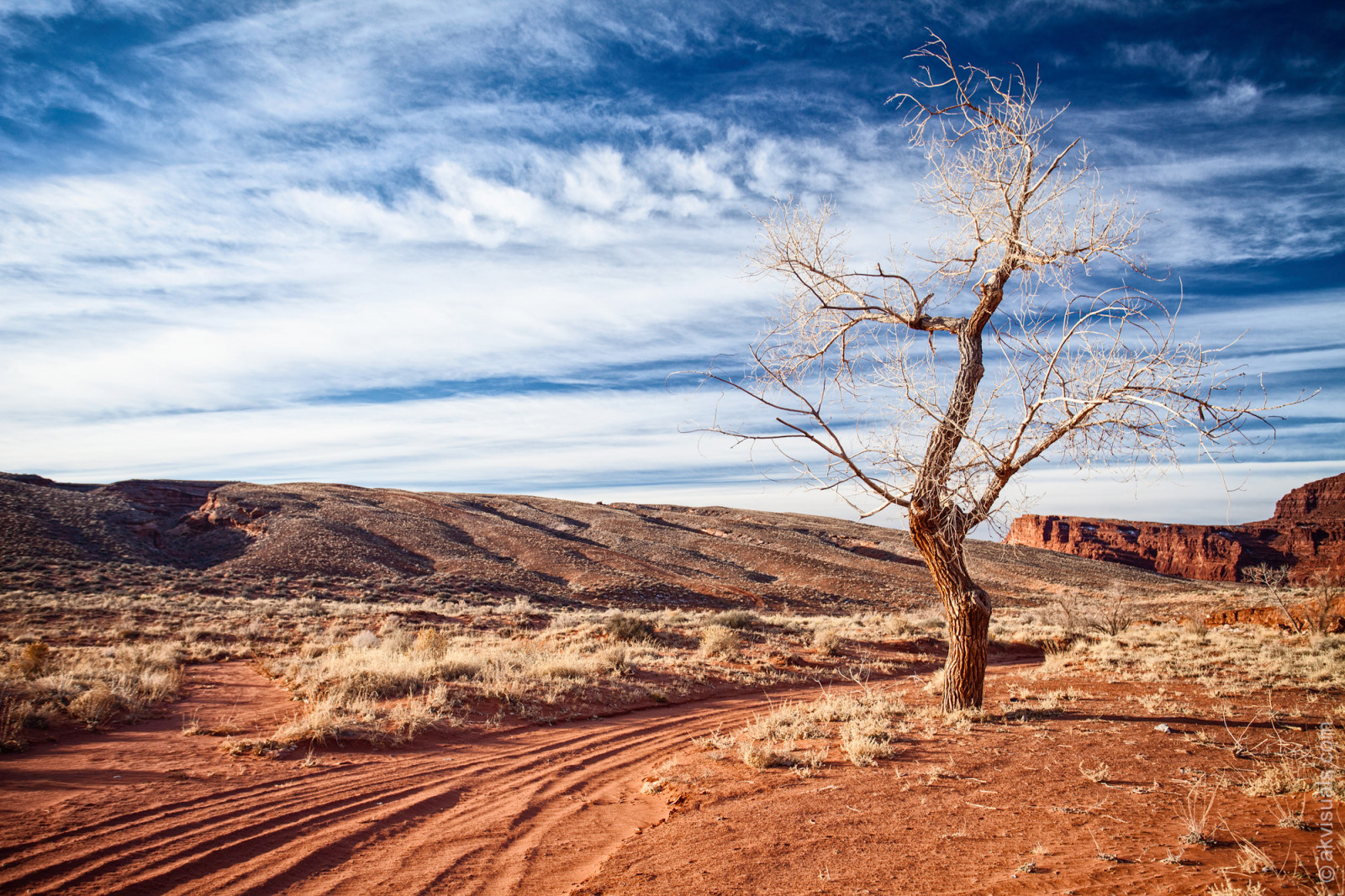 landskab, bakke, klippe, natur, himmel, vej, ørken, alene, horisont, dal, canyon, USA, ødemark, Utah, plateau, 2014, dramatisk, Sky, træ, bjerg, Moab, ensom, canon5d, jord, geologi, landdistrikt, naturligt miljø, vedplante, landskabsform, geografisk funktion, Badlands, Lipariske landskabsform