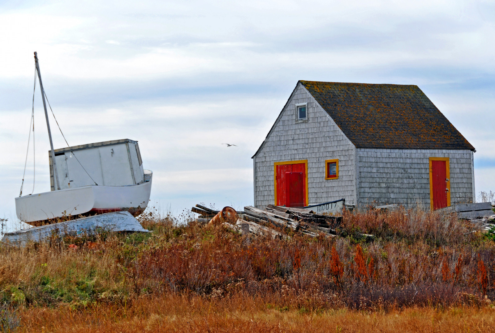 loď, budova, Červené, tráva, nebe, dřevo, Dům, Kanada, Nikon, rybolov, chalupa, Volný, uvolnit, chatrč, Jarvis, mrak, kůlna, domů, D300, prérie, statek, venkov, nové Skotsko, Dennis, jsem Kanaďan, dennisjarvis, archer10, dennisgjarvis, 18200vr