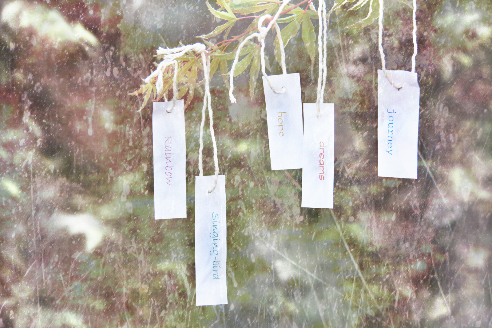 Wallpaper : leaves, nature, grass, text, branch, hope, texture, belief ...