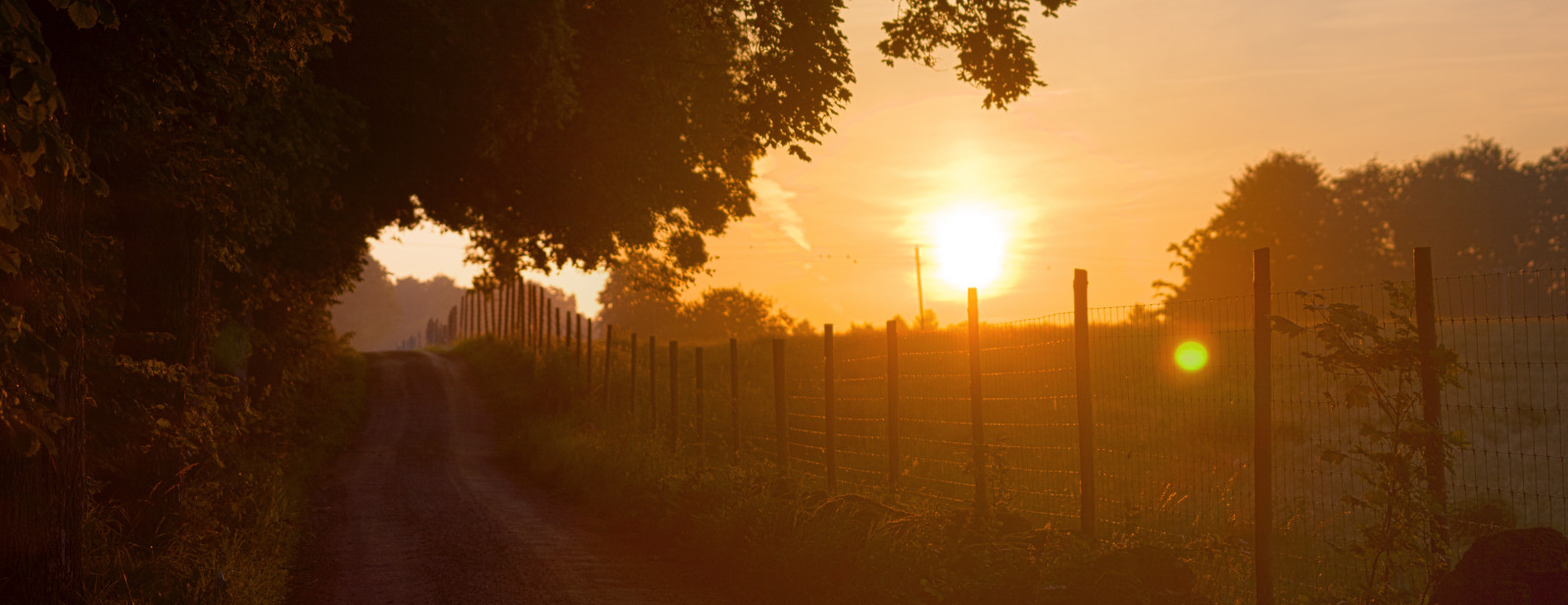slunečnímu záření, západ slunce, noc, Příroda, odraz, silnice, svítání, večer, ráno, mlha, slunce, atmosféra, Scania, Švédsko, soumrak, dirtroad, Sverige, světlo, strom, podzim, mlha, svítání, grusv g, soluppg ng, morgon, tma, VAG, Kristianstad, atmosférický jev, astronomický objekt, Skane, h ssleholm, n vlinge sen, gravelroad