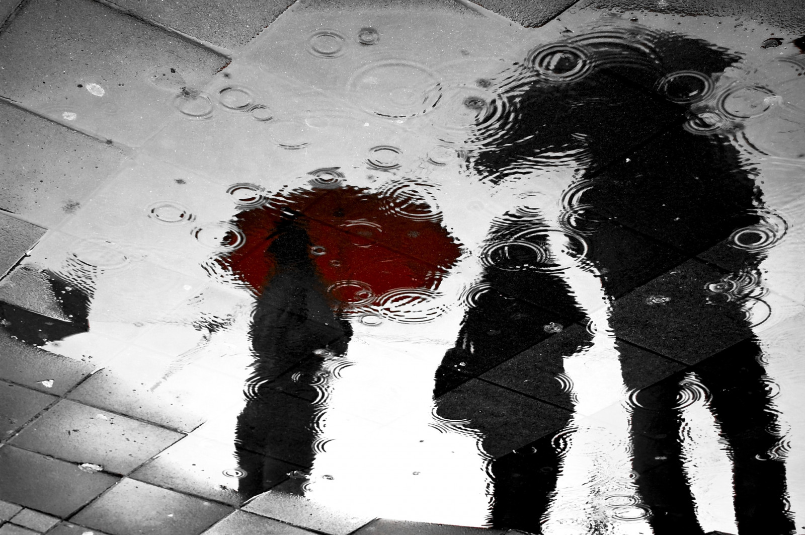 tegning, hvid, sort, illustration, monokrom, vand, rød, afspejling, regn, paraply, KUNST, fotografi, skitse, sort og hvid, monokrom fotografering