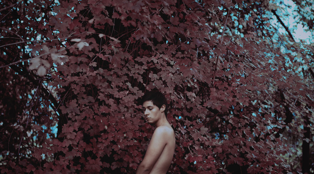 muži, portrét, Skála, Příroda, Červené, nebe, fotografování, profil, větev, modrý, Kánon, svět, květ, Chile, růžový, jaro, MM, 9, Pojmový, UMĚNÍ, strom, 50mm, pokuta, podzim, chlapec, list, květ, prozkoumat, rostlina, dívka, fotografie, muž, zábava, mladý, hojas, rojo, arbol, de, umění, hvězda, pole, 70, tma, auto, Na výšku, foto, mužský, contraste, já, fotografia, autoportrét, 14, 50, d, chilský, Joven, arquitectura, chilenos, Campos, 70d, počítač tapeta, dřevina, Patricio, autoretrato, kraj, ix, chili, Otono, Temuco, andres, cid, Chileno, andruco, Gorbea, novena, andrucco, lolo, Arquitecto