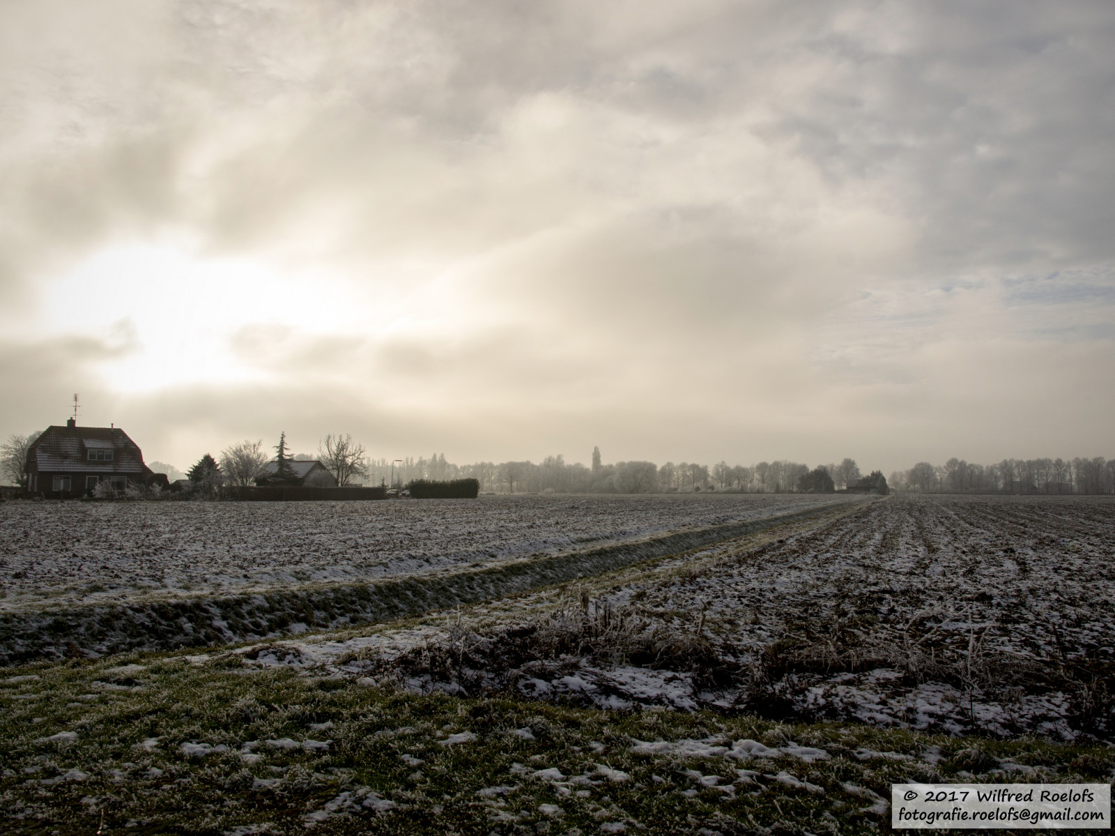 Wallpaper : Nikon, d3200, Wilfred, roelofs, 2017, nature, neterlands ...