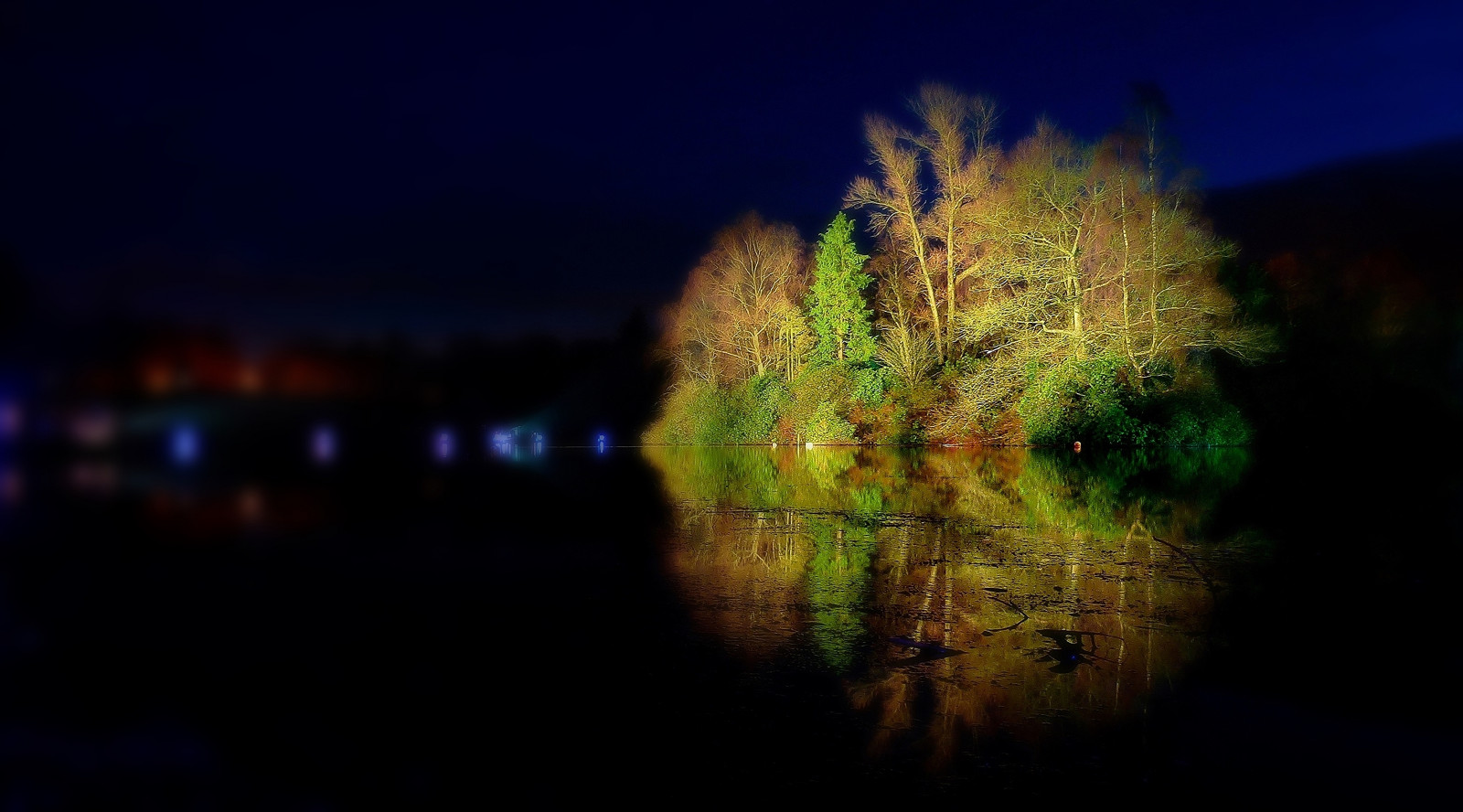 Wallpaper : trees, landscape, forest, flowers, night, water, nature ...