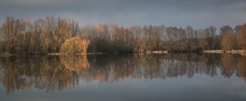 stromy, krajina, les, jezero, voda, Příroda stromy, krajina, les, jezero, voda, Příroda