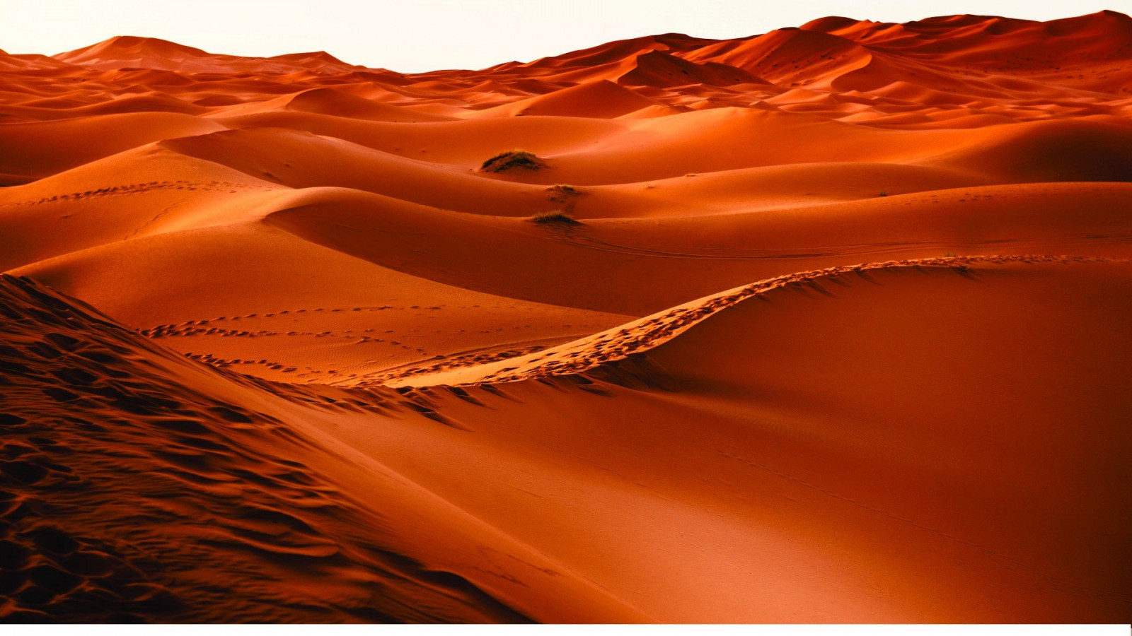 Wallpaper : 1920x1080 px, brown, desert 1920x1080 - 4kWallpaper