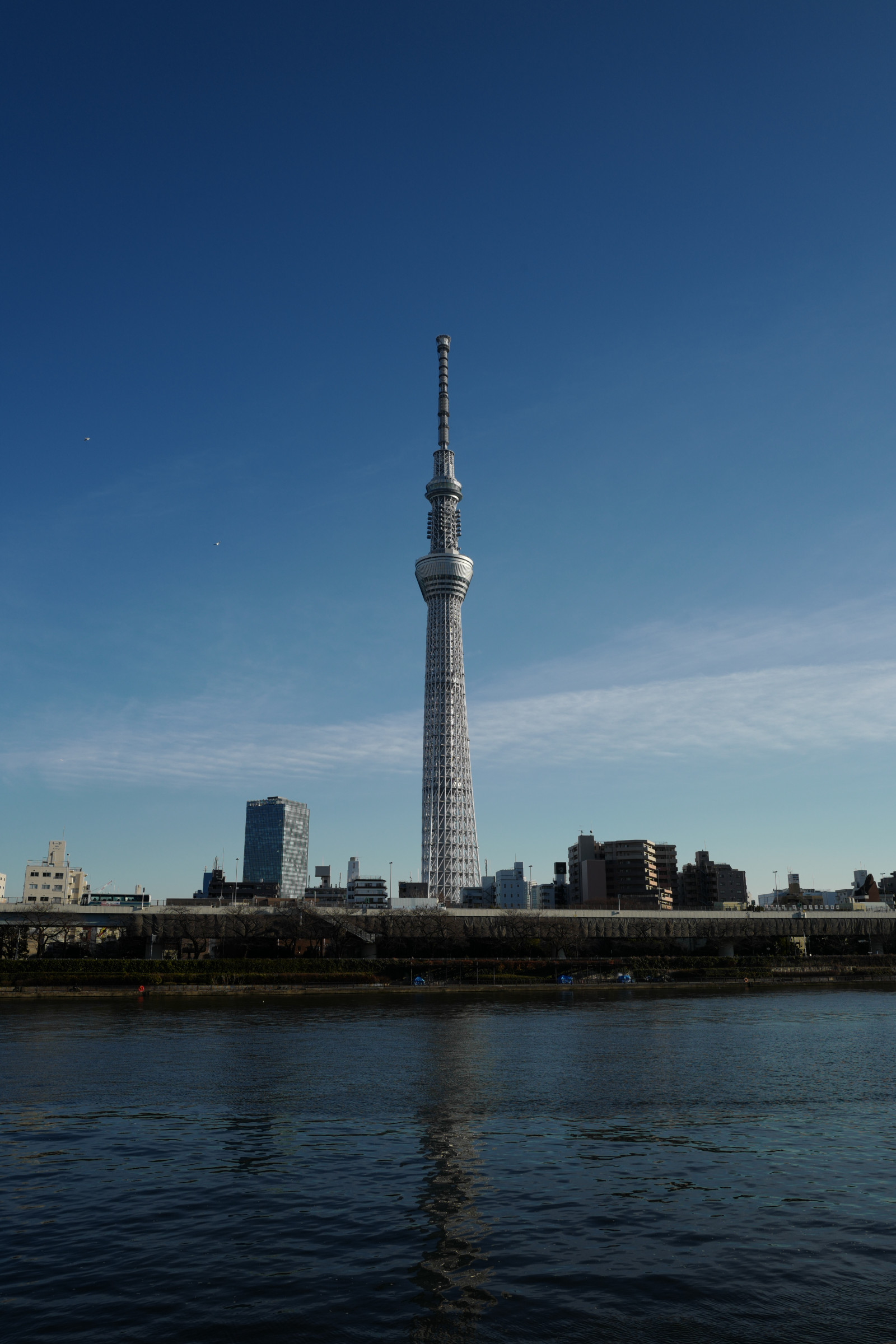 Japan, hav, by, bybilledet, arkitektur, afspejling, himmel, skyline, skyskraber, aften, tårn, horisont, skumring, Leica, Tokyo, monument, Spir, Jp, Skytree, Sky, milepæl, Tokyo Skytree, summilux, leicaq, summilux1728, q, 1728, menneskelig bosættelse, højhus