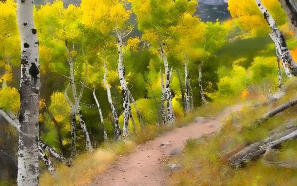 plant,Natural landscape,People in nature,Art paint,paint,wood