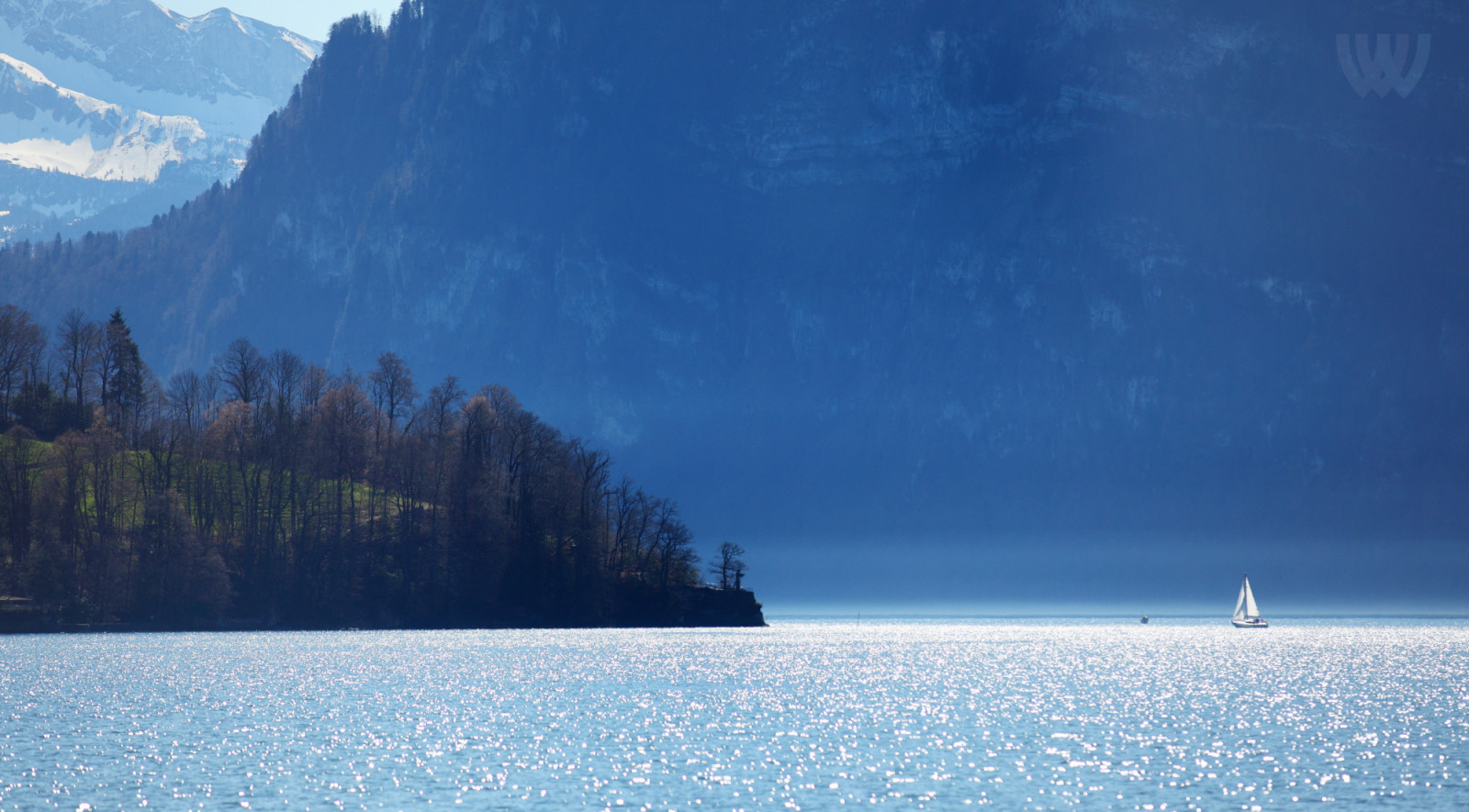 verden, rejse, hav, tåge, bjerg, sø, sne, natur, vand, tåge, slap af, Schweiz, båd, skov, sejlads, langsom, yacht, swiss, Luzern, turist, bakker, god fornøjelse, lucerne, langsommelighed, wilsonsvision