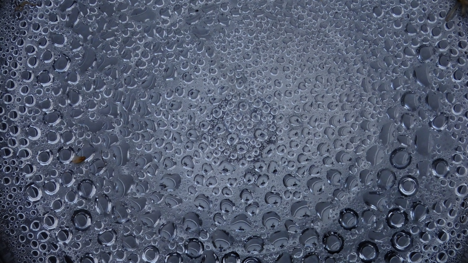 Čína, silnice, Fotoaparát, cestovat, moře, portrét, žena, rostlina, hra, UMĚNÍ, Krásná, tvář, auto, dáma, digitální, kočka, Kánon, temný, vlasy, šťastný, hvězda, loď, úžasný, Asie, umělec, mír, drak, ruka, smutný, místo, přírodní, transformátor, cosplay, nehoda, mnoho, prostor, deska, slavný, skvělý, tvrdý, cena, palce, prasknutí, umístění, závodění, Mistr, přistát, plody moře, cosplayer, zajetí, aa, Vánoční, 2014, aminal, pleace, outstandingshots