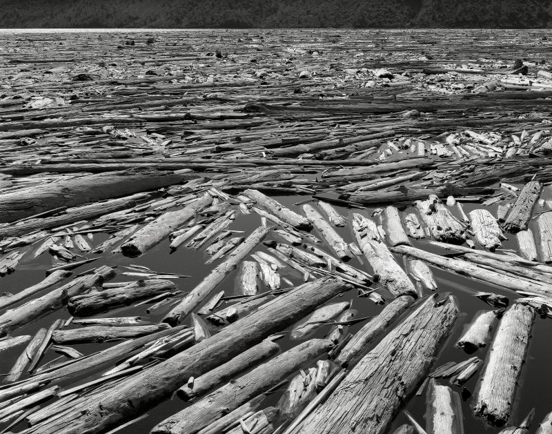 Černý a bílý, monochromatické fotografování, černobílý, dřevo, voda, Skála