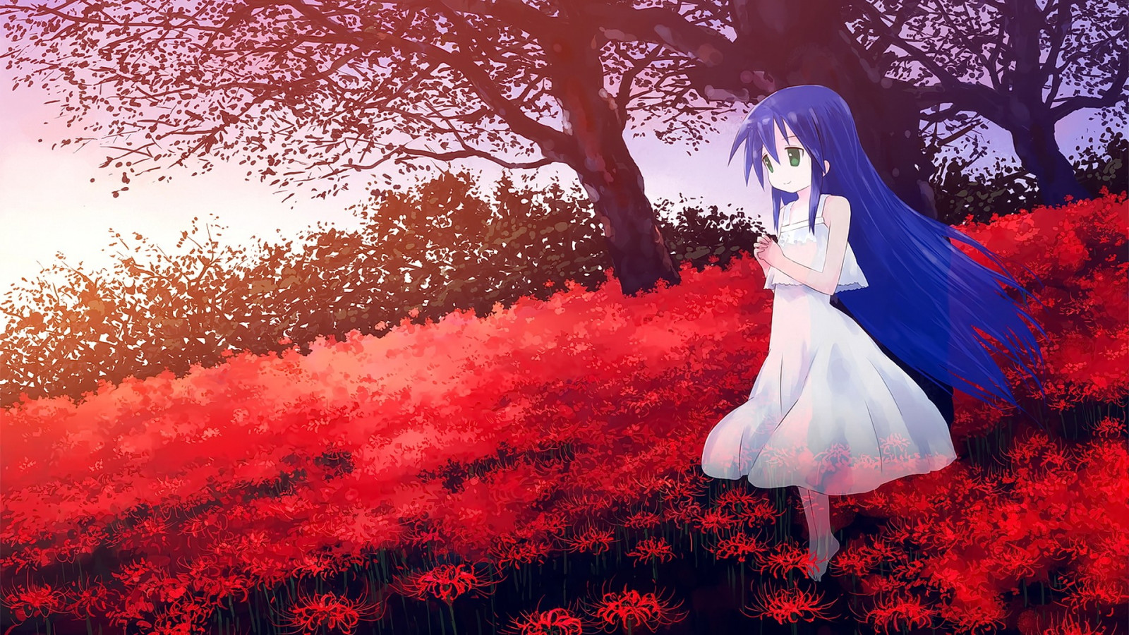 odvrátila, dlouhé vlasy, anime, anime dívky, Červené, zelené oči, květ, jaro, strom, podzim, květ, rostlina, sezóna, okvětní lístek, louka, počítač tapeta, suchozemská rostlina, kvetoucí rostlina