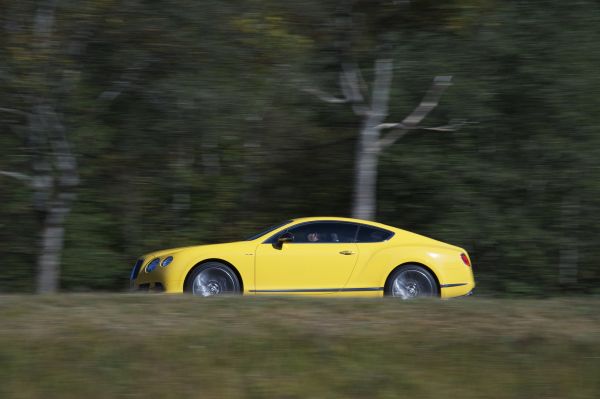 car,vehicle,sports car,2015,Bentley,netcarshow