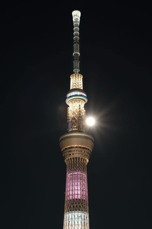 Japan,street light,night,architecture,Moon,tower