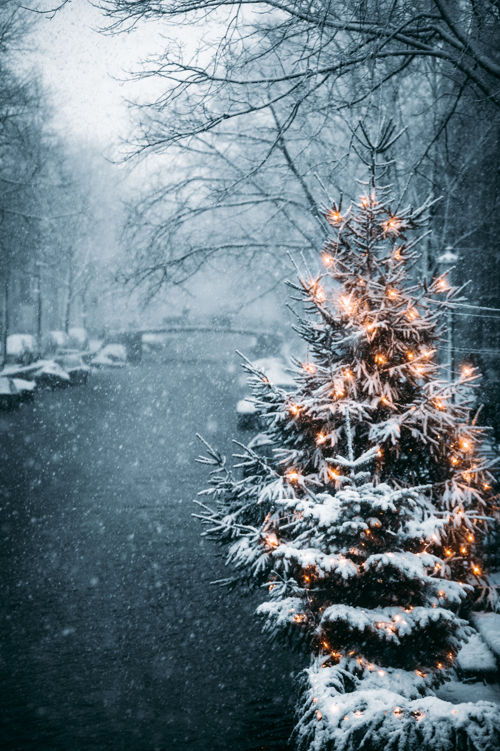 Wallpaper Christmas Tree, decorations, light effects, snowing