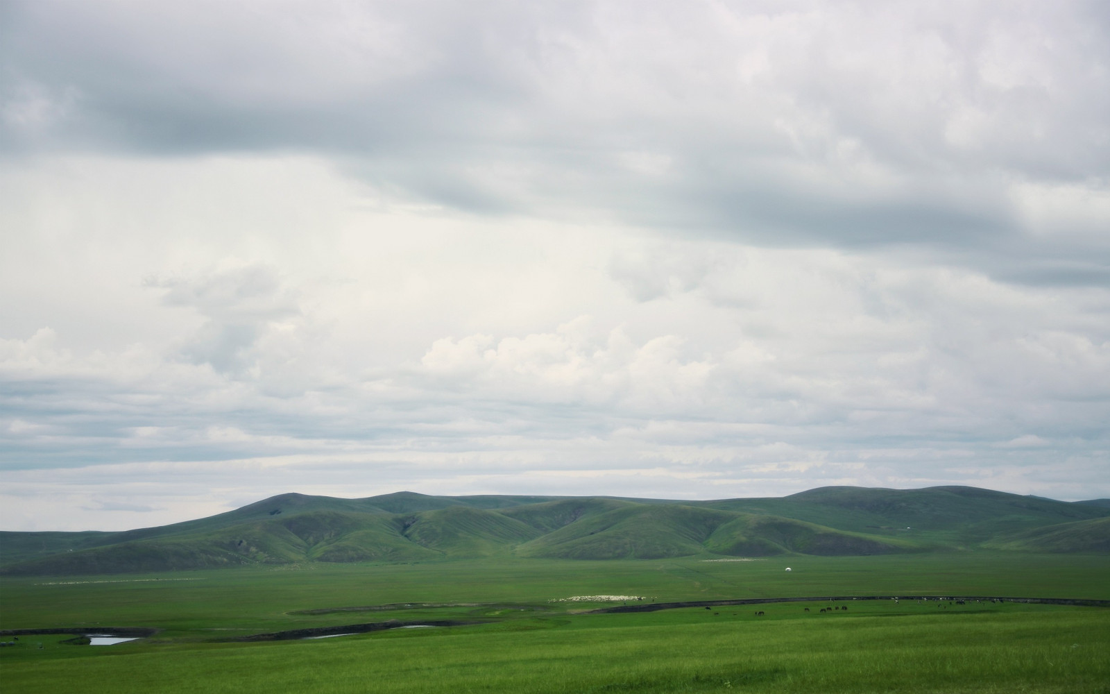 slunečnímu záření, krajina, kopec, Příroda, tráva, nebe, pole, ráno, horizont, plošina, step, mrak, hora, lučina, pastvina, louka, prostý, vysočina, prérie, venkov, místo výskytu, přírodní prostředí, atmosférický jev, Atmosféra Země, horských reliéf, geografický rys, ekosystém, pohoří, meteorologický jev