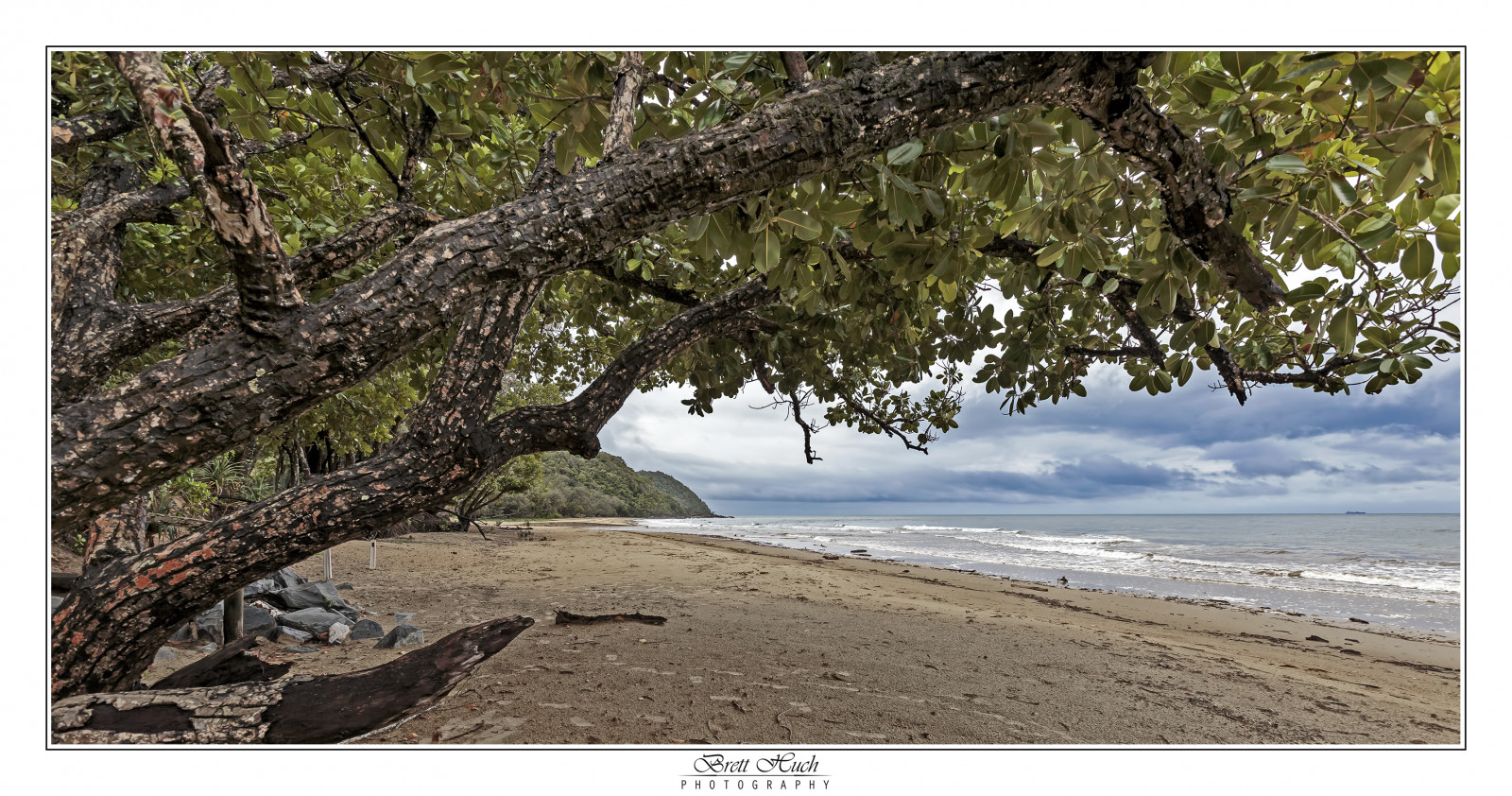 stromy, moře, voda, Příroda, nebe, déšť, pláž, větev, bouřka, pobřeží, mokrý, Austrálie, queensland, Surfovat, strom, počasí, mořské scenérie, přímořská krajina, Australan, půda, ekosystém, qld, cowbay, northqueensland