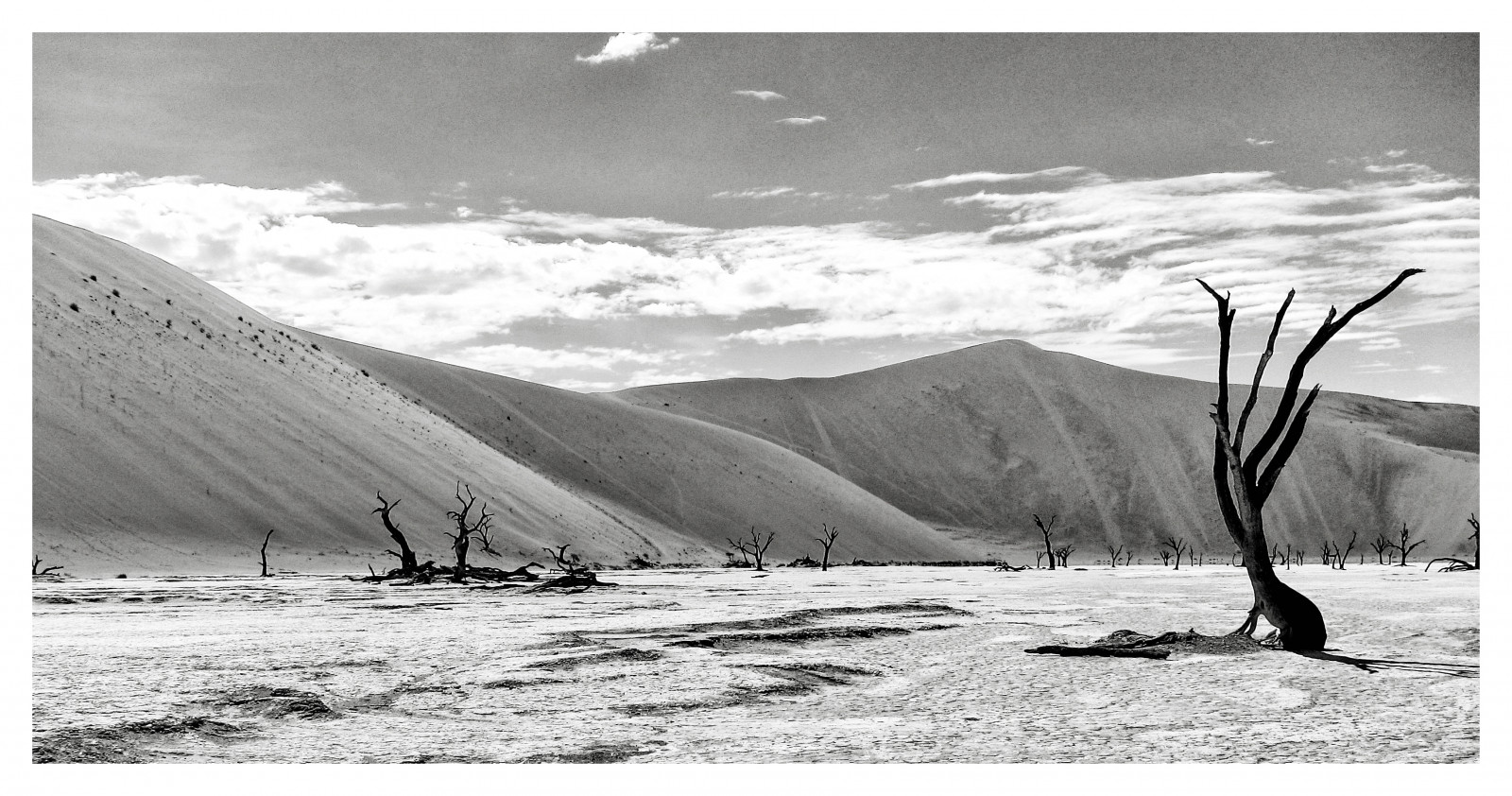 Afrika, cestovat, nebe, tělesné, bílý, Příroda, práce, Kánon, řeka, fotografie, Černá bílá, foto, Napájení, poušť, fotky, duna, obrázek, Volný, uvolnit, natura, silná rána, údolí smrti, zajetí, Namibie, eco, Ricordi, viaggi, lux, Viaggio, bianconero, biancoenero, Deserto, reportáž, Sossusvlei, velký taťka, bílý černý, fotografare, Ricordo, Rappresentazioni, Valledellamorte, Desertodelnamib, Bigdaddydune, canonpowershots95