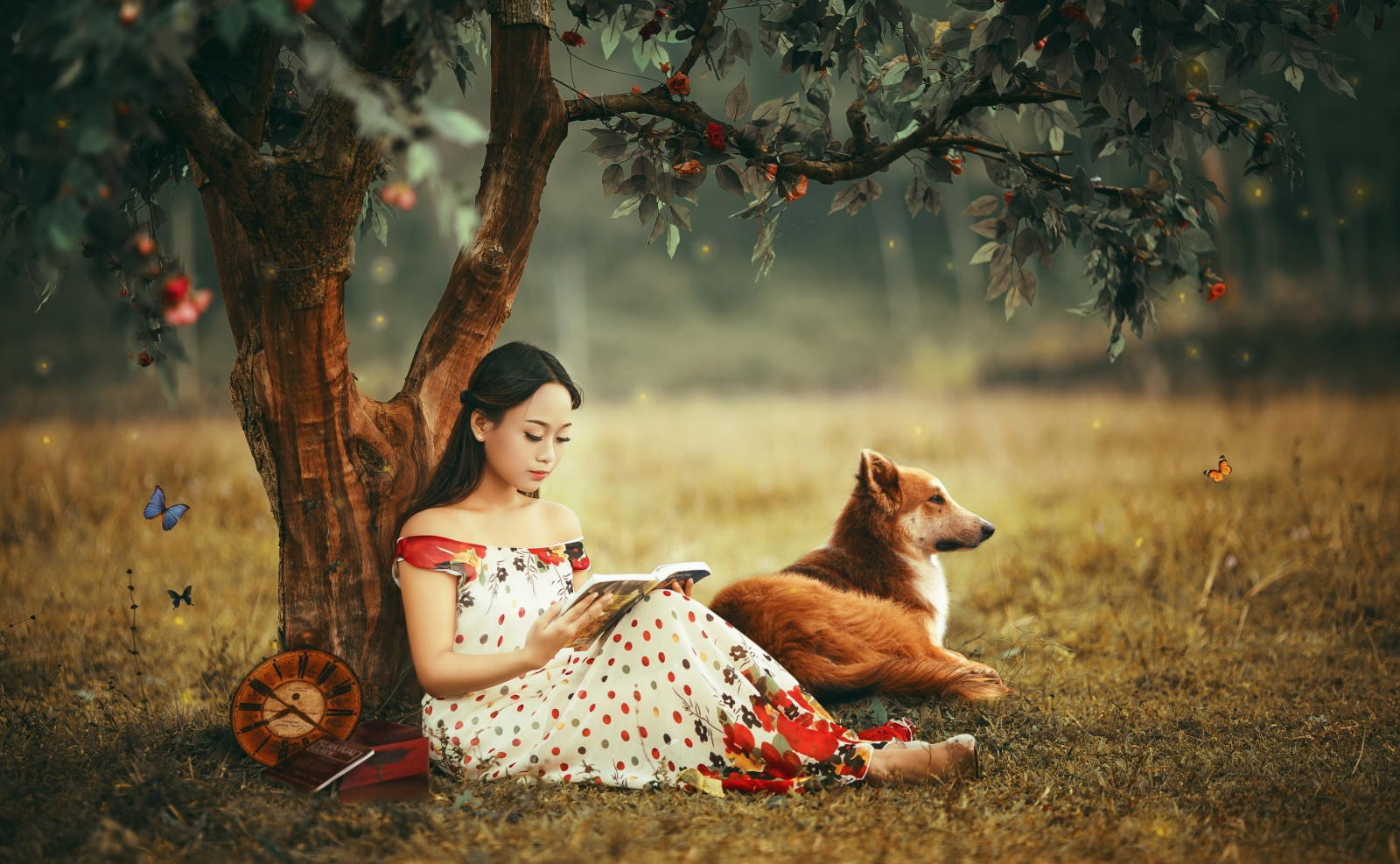 Wallpaper animals, women, model, Asian, morning, tree, autumn, flower