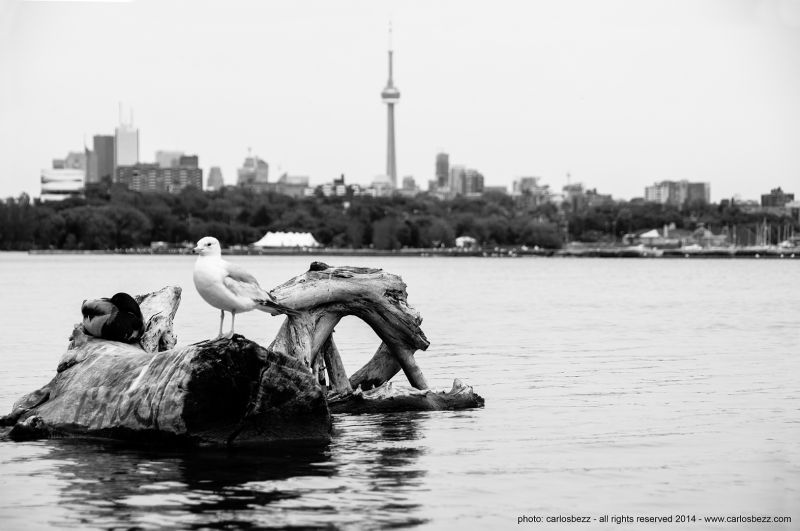 voda, Černý a bílý, monochromatické fotografování, fotografování, moře, fotografie