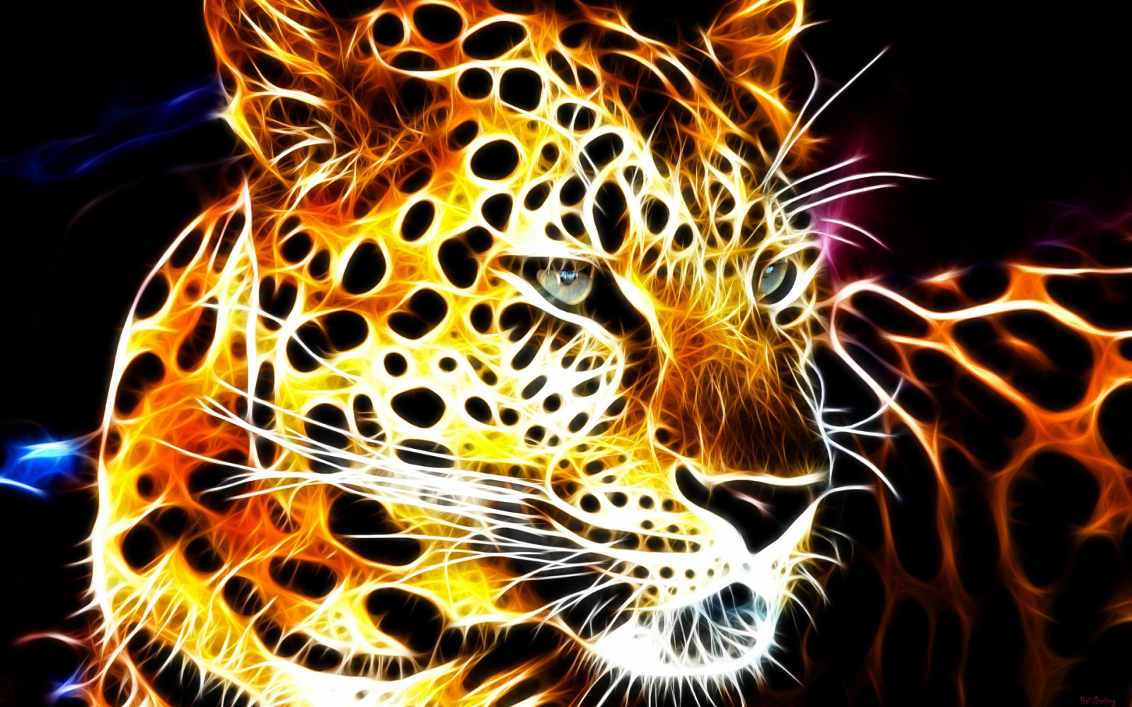 Fondos de pantalla : 1920x1200 px, Animales, fondo, negro, Fractal