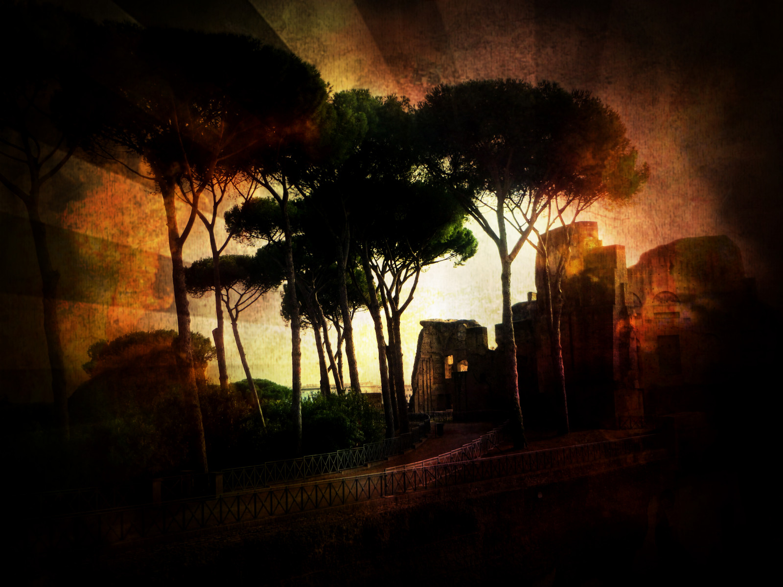 sunlight, landscape, forest, night, nature, sky, sunrise, evening, atmosphere, Rome, midnight, light, tree, Italia, lighting, roma, darkness, computer wallpaper, phenomenon, pixlr, pixlrexpress, capitale