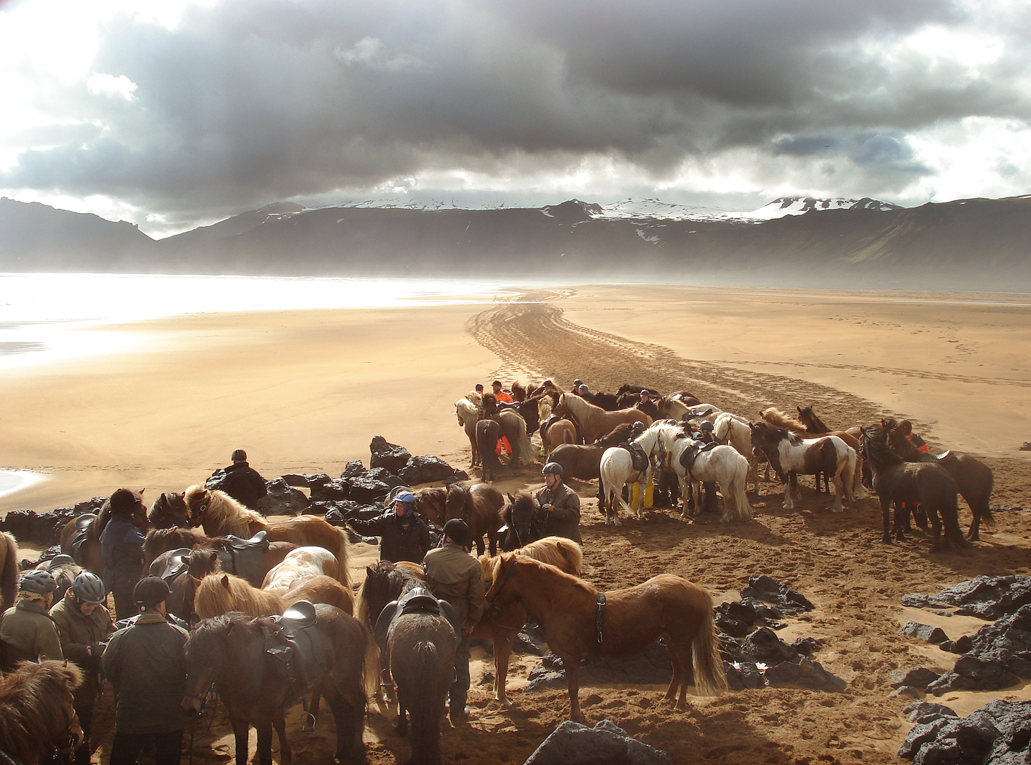 sabbia, cavallo, cielo, natura, orizzonte, isola, pecora, tundra, Paese delle meraviglie, altopiano, steppa, nube, montagna, prateria, pascolo, mandria, pianura, coth5, platinumphoto, goldstaraward, sailsevenseas, inspiredbylove, coth, Hestar, slenskihesturinn, annagu mundsd ttir, ecosistema, savana, bestiame come mammifero, fellsnes sn, ecoregione, migrazione, L ngufj rur, H teleldborg, stock photography