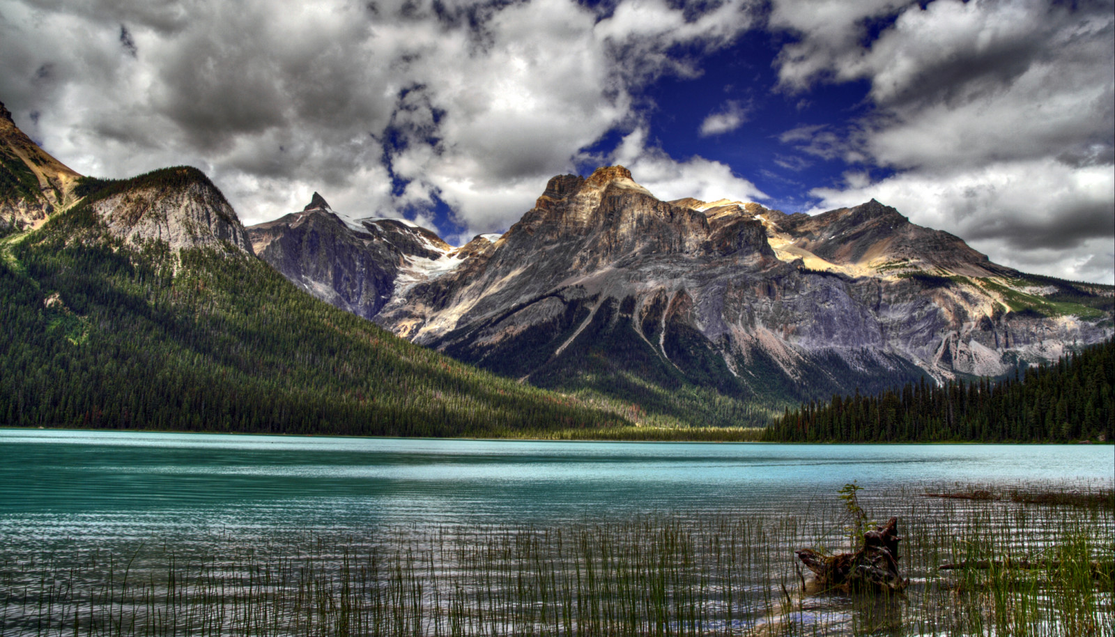 landskab, sø, vand, natur, afspejling, himmel, Canada, Nationalpark, fjorden, ødemark, Alberta, Bank, mount landskaber, krater sø, Glacial Lake, Terræn, Sky, træ, flickr, bjerg, Foto, bedst, reservoir, anawesomeshot, naturesfinest, abigfave, SOE, bravo, impressedbeauty, aplusphoto, superbmasterpiece, diamondclassphotographer, flickrdiamond, tarn, flickrsbest, peopleschoice, Supershot, fab, superaplus, infinestyle, highland, frhwofavs, ysplix, outstandingshots, searchthebest, excellentphotographerawards, loch, thebestwaterscapes, computer tapet, bjergrige landskabsformer, bjergkæde, moræne, iskold landskabsform, faldt, din, isawyoufirst, holidaysvacanzeurlaub, hver anden uge, emeraldlake, yohonationalpark, Photology, yourbestphoto, emeraldlakeyohonationalparkcanadaalbertaemeraldlake