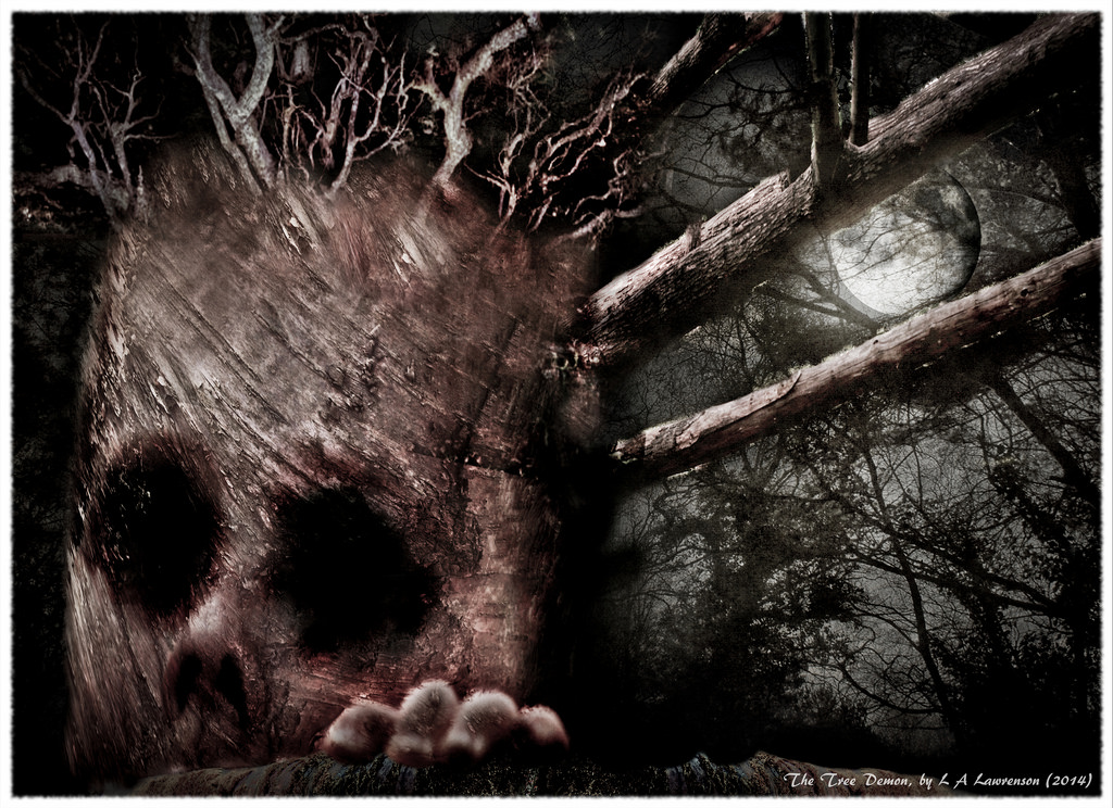 drzewo, Drzewna roślina, ciemność, czarny i biały, organizm, stock photography, gałąź, Tapeta komputerowa, roślina, Fotografia martwa natura