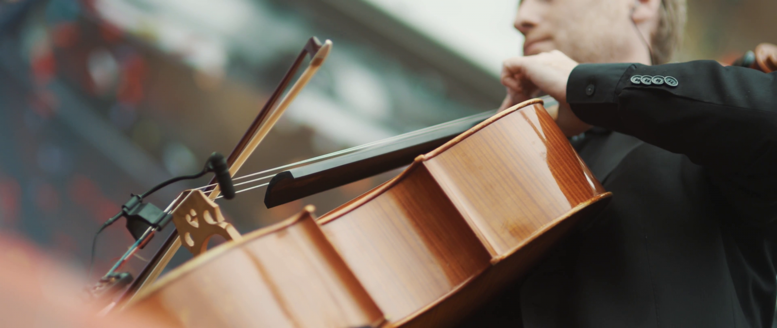 Sting Instrument Background Wallpaper : musical instrument, musician, Tomorrowland, close up ...